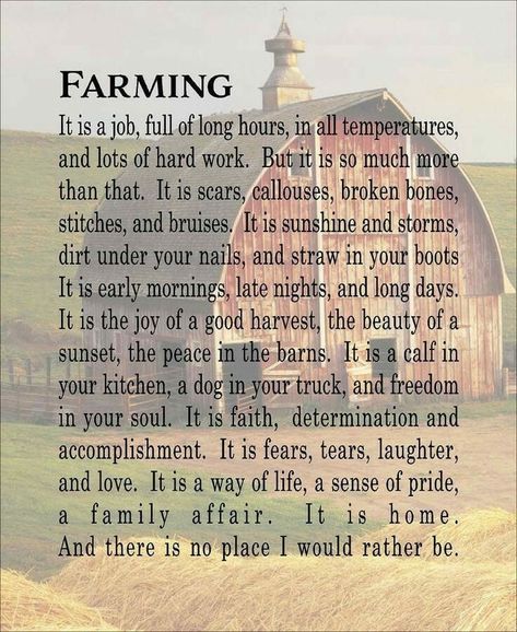 Heaven Farm Life Quotes, Farmer Quotes, Farm Quotes, Home Wood Sign, Farm Wife, Wood Signs For Home, Country Girl Quotes, Home Wood, Farmer Wife