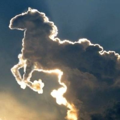 Amazing Nature: Clouds That Look like Animals ... Unicorn Aesthetic, Cool Clouds, I Believe In Unicorns, Cloud Formations, The Last Unicorn, Cloud Shapes, Barbie Movies, The Clouds, Amazing Nature