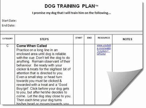 40 Dog Training Plan Template | Hamiltonplastering Business Letter Format, Puppy Training Schedule, Lesson Plan Template Free, Action Plan Template, Dog Enrichment, Career Planning, Cursive Letters, Paws And Claws, Service Animal