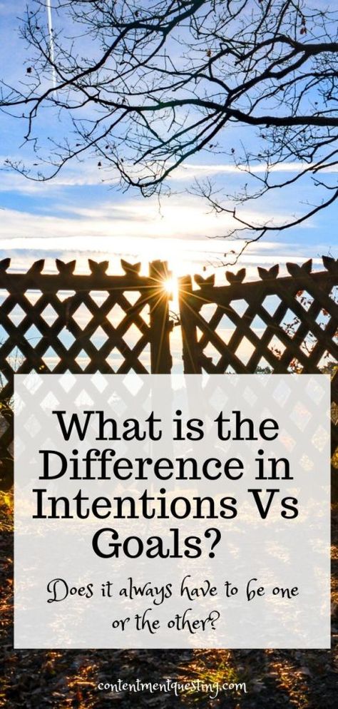 Intentions Vs Goals, Goals Vs Intentions, Daily Intentions Examples, Incantation Bowl, Examples Of Goals, Goals And Intentions, Mindset Work, Goals Setting, Living Intentionally