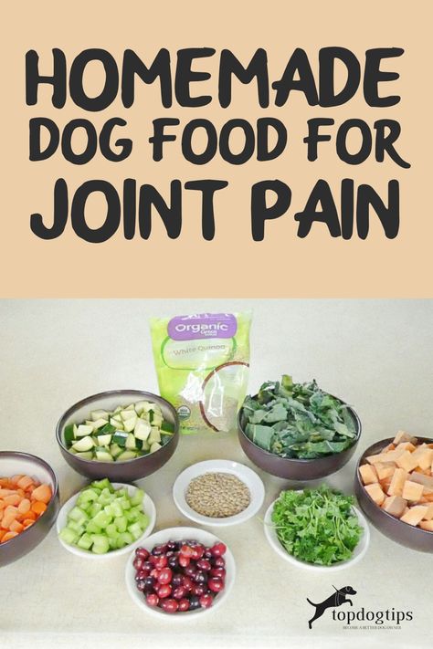 Home Cooked Dog Food, Cook Dog Food, Make Dog Food, Diy Dog Food, Dog Joints, Dog Treats Homemade Recipes, Raw Dog Food Recipes, Healthy Dog Food Recipes, Puppy Food