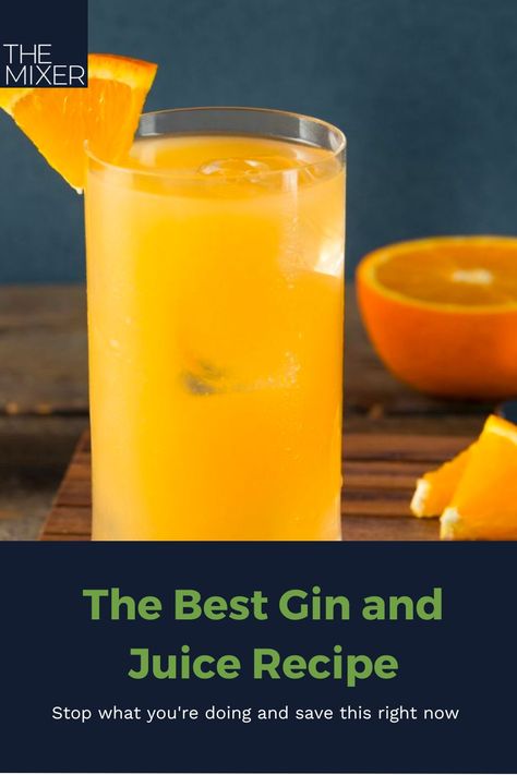 You don't need to block out an hour, this gin and juice recipe takes literal seconds to make. Tap the link to save it right now! Gin And Juice Recipe, Gin And Juice, Best Gin, Juice Recipe, Grapefruit Juice, Classic Cocktails, Snoop Dogg, Gin, Juice