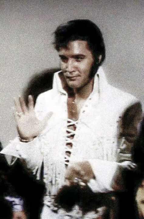 Elvis 1970, Elvis 70s, Elvis Presley Christmas, Looking Like A Snack, Suspicious Minds, Elvis Presley Pictures, Elvis And Priscilla, Bear Photos, Elvis Presley Photos