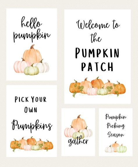 Pumpkin patch pumpkin picking pumpkins hello pumpkin prints. 5 prints for less than 50p each! Instant digital download! #pumpkin #pumpkins #pumpkinpicking #pumpkinspice #pumpkinseason #fall #autumn #pumpkinprint #farmhousedecor #farmhousestyle Pick Your Own Pumpkin Patch, Pumpkin Patch Sign, Pumpkin Sign, Hello Pumpkin, Pumpkin Picking, Pumpkin Seasoning, Pumpkin Print, Farmhouse Signs, Pumpkin Patch