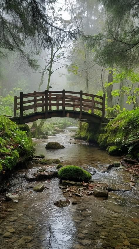 Download 'Misty Forest Bridge' - A serene wooden bridge stretches over a tranquil stream in a misty, lush green forest setting. - Get this free stock photo and more high-quality images on StockCake. No attribution required. Forest Bridge Aesthetic, Lake In Woods, Misty Forest Aesthetic, Forest Perspective, Bridge In Forest, Bridge Over Stream, Bridge Over Creek, Stream Bridge, Living Bridge