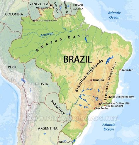 Brazil Map Illustration, Map Of Brazil, Brazil Geography, Bahia Brazil, Brazil Country, Brazil Map, Maps Aesthetic, Physical Map, General Knowledge Book