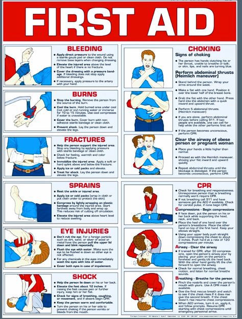 First Aid Poster, Food Safety Posters, First Aid Procedures, Food Safety And Sanitation, Health And Safety Poster, Nurse Study, Food Safety Tips, Safety Poster, American Heritage Girls