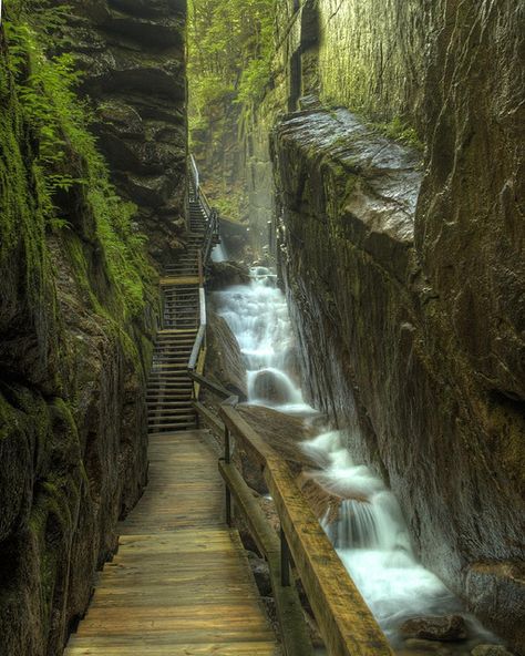 The Flume Aesthetic Environment, Flume Gorge, Castle Landscape, Franconia Notch, White Mountains, 1930s Fashion, Beautiful Waterfalls, Exeter, Incredible Places