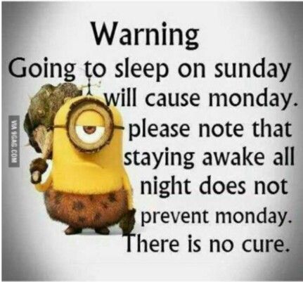 LoL Sunday Humor, Whatsapp Theme, I Hate Mondays, Minion Pictures, Minion Jokes, Minions Love, A Minion, Funny Minion Quotes, Minion Quotes