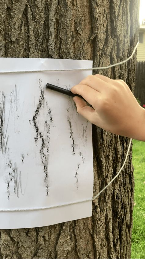 8 Creative Ways to Study Trees with Kids Høstaktiviteter For Barn, Ways To Study, Forest School Activities, About Trees, Tree Study, Nature School, Wonders Of Nature, Wacky Hair, Forest School