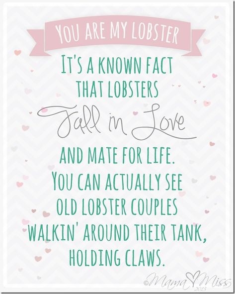 quote art: You Are My Lobster http://www.mamamiss.com ©2013 Lobster Quotes, Friends Episode, My Lobster, I Lied, Inspirational Words Of Wisdom, Four Letter Words, Quote Art, Favorite Words, All You Need Is Love