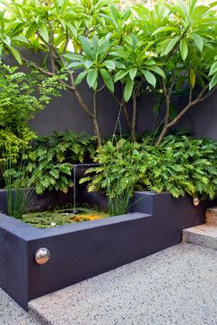 Melville courtyards tropical-landscape; Love this corner stair pond and the Frangipani tree Courtyard Landscaping, Concrete Patios, Tropical Garden Design, Australian Garden, Modern Landscape Design, Modern Garden Design, Pond Design, Water Features In The Garden, Deck Garden