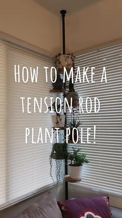 Tension Rod Plant Pole, Tension Pole Plant Stand, Diy Tension Rod Plant Stand, Tension Rod Plant Stand, Indoor Plant Stand Ideas Diy, Pole Plant Stand, Plant Window Shelf, Diy Plant Stand Indoor, Plant Pole