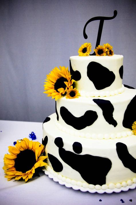 Our cow wedding cake Cow Print Cake With Sunflowers, Cow Sunflower Cake, Cow Print Sunflower Cake, Cow Sunflower Party, Cow Print And Sunflower Cake, Cow Cake With Sunflowers, Cow Print Wedding Cake, Cow Wedding Theme, Cow Print Cake Ideas