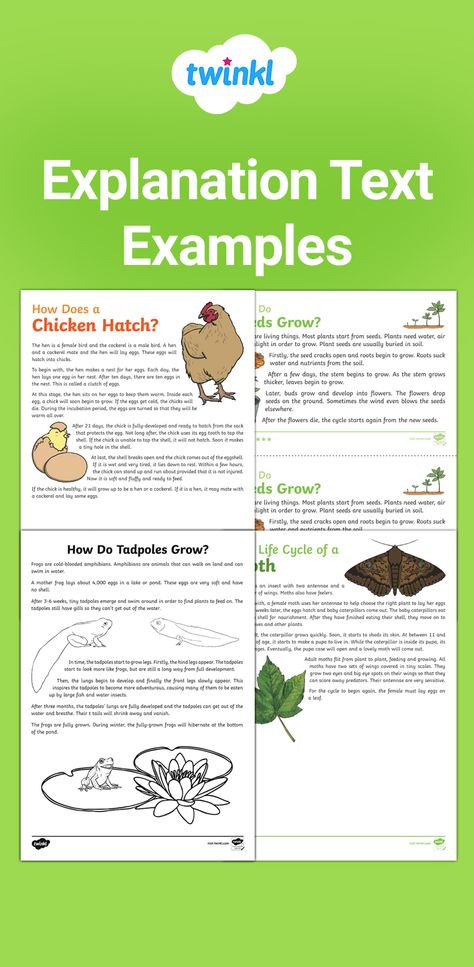 Discover this effective way to enhance learning with this handy pack of text examples all in one place to support your lessons! Visit the Twinkl website to download and discover thousands more teaching resources to save you time!     #texts #english #writing #teachingresources #teachingideas #twinkl #twinklresources #literacy #education #homeeducationuk #homeschool Explanation Text Worksheet, Pie Corbett, Procedural Text, Explanatory Writing, Expository Text, Explanation Writing, Home Education Uk, Explanation Text, Interesting Facts About Yourself