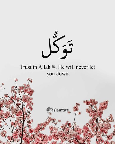 Trust in Allah ﷻ. He will never let you down Feel Special Quotes, Trust Allah Quotes, Quran Quotes In English, Quotes About Trust, Istikhara Dua, Quotes With Deep Meaning, Islamic Dp Quotes, Islamic Quotes In English, Trust In Allah