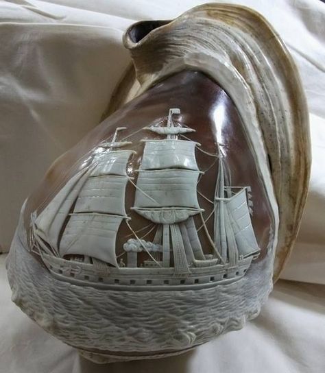 Carved shell Carved Seashells, Seashell Carving, Carved Gourds, Steam Ship, Cameo Jewelry, Seashell Art, Vintage Nautical, Carved Shell, Seashell Crafts