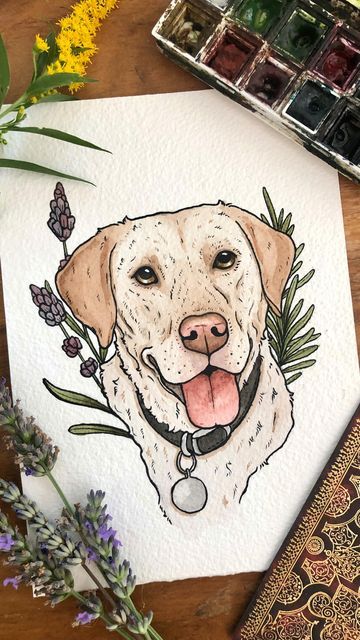 Labrador Drawing, Labrador Illustration, Lab Painting, Labrador Painting, Painting Clipart, Dogs Watercolor, Watercolor Dogs, Dog Watercolor Painting, Labrador Art