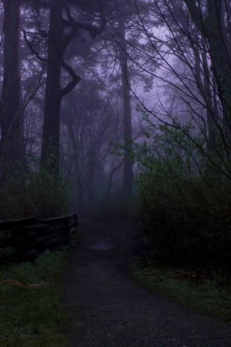 The Woods At Night, Woods At Night, Forest Images, Dark Forest Aesthetic, Goth Wallpaper, Funny Feeling, Dark Nature Aesthetic, Gothic Aesthetic, Forest Wallpaper