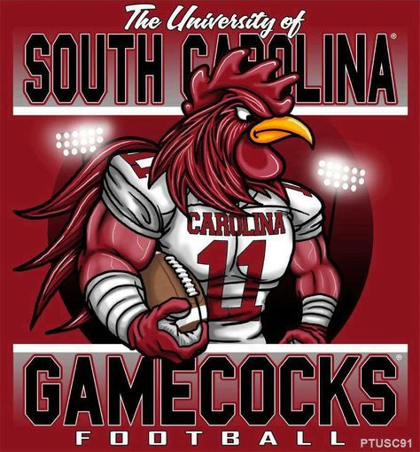 I've just noticed a great deal of orange here lately. That is not a good thing for this chick! Usc Columbia, South Carolina Gamecocks Football, Gamecock Nation, South Carolina Football, Gamecocks Logo, Sports Cookies, Gamecocks Football, Go Gamecocks, Usc Gamecocks