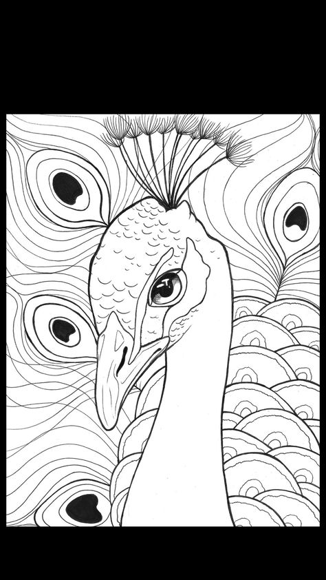 Colouring Sketches, Peacock Coloring Pages, Dragon Tattoo Ideas, Peacock Drawing, Deer Drawing, Spiderman Art Sketch, Dragon Tattoos, Peacock Painting, Pichwai Paintings