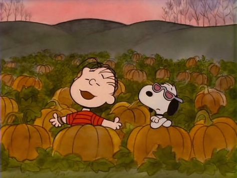 Snoopy Halloween Aesthetic, Snoopy Fall Aesthetic, Pumpkin Snoopy, The Great Pumpkin Charlie Brown, Fall Highlights, Halloween Watch, Great Pumpkin Charlie Brown, Snoopy Cartoon, The Great Pumpkin