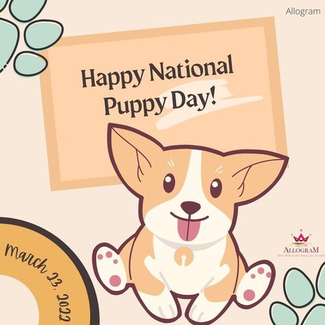 Happy National Puppy Day! 🦮🐶 #puppyday #puppy #celebration #smallbusiness #recognition National Puppy Day, Puppy Day, Pikachu, Puppies, Fictional Characters