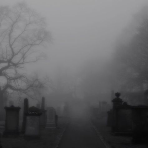 Scene Moodboard, Foggy Graveyard, English Assignment, Witchy Academia, Dark Photography, Rose Wallpaper, Dnd Characters, Graveyard, Drawing Techniques