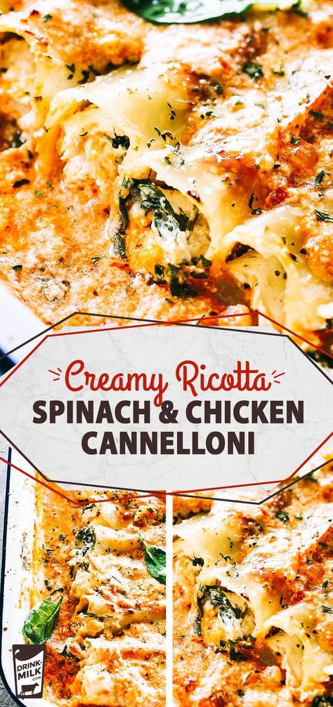 Chicken Cannelloni, Cannelloni Pasta, Ricotta Spinach, Cannelloni Recipes, Spinach Chicken, Creamy Tomato Sauce, Pasta Dinners, Pasta Dinner Recipes, Spinach Stuffed Chicken