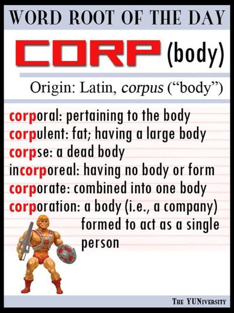 Important words made from the Latin root 'corp,' meaning 'body.'. Latin Root Words, Vocabulary Strategies, Latin Language, Teaching Vocabulary, Root Words, Word Nerd, Vocabulary Building, Latin Words, Grammar And Vocabulary