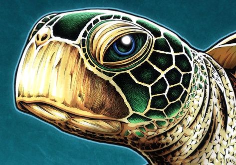 Turtle Painting Acrylic, Ocean Animal Art, Underwater Landscape, Sea Turtle Painting, Sea Creatures Art, Sea Turtle Print, Sea Turtle Art, Underwater Painting, Turtle Print