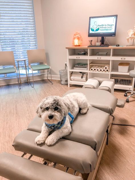 Chiropractic Office Ideas, Ranch Office, Gym Organization, Chiro Office, Chiropractic Office Design, Home Gym Organization, Room Layout Design, Chiropractic Marketing, Gym Organizer