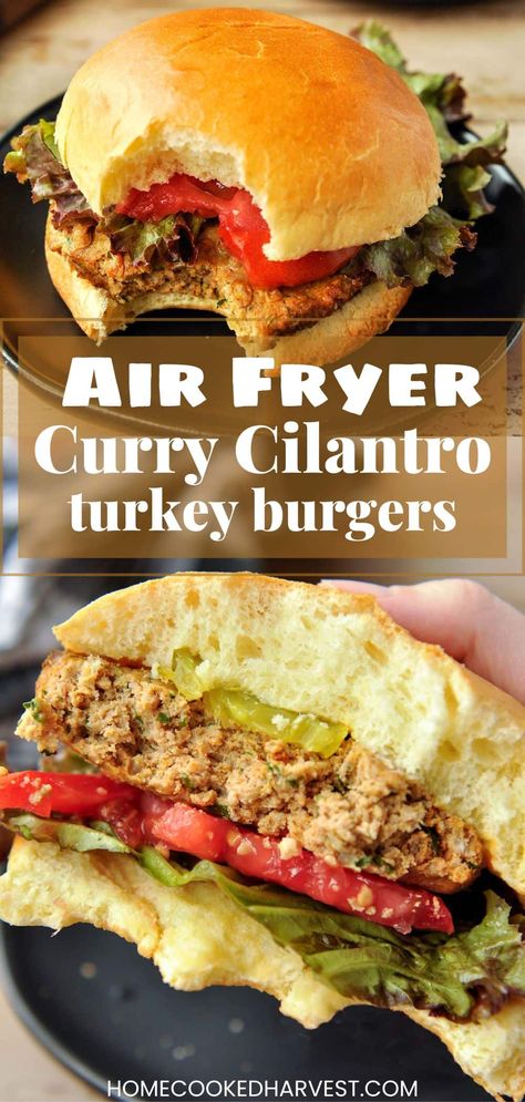 Air Fryer Burgers, Burger Alternatives, Reheat Turkey, Deep Fryer Recipes, Easy Sandwiches, Air Fryer Turkey, Easy Burgers, Gourmet Chicken, Frozen Turkey