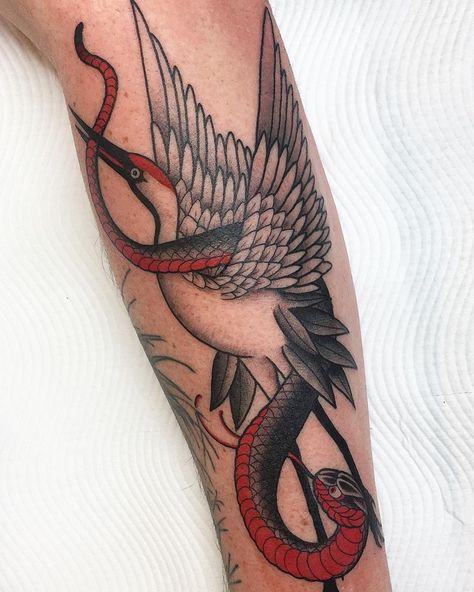 🐉💰 on Instagram: “Japanese crane feat. Red belly black snake-  Taking bookings for July- email jarrad.chivers@gmail.com” Crane And Snake Tattoo, Black Red Tattoo, Crane Tattoo, Lighthouse Tattoo, Japanese Crane, Red Tattoos, B Tattoo, Tattoo Black, Snake Tattoo