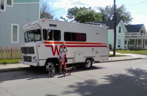 Winabago Campers, Winnebago Remodel, Winnebago Revel, Winnebago Motorhome, Winnebago Micro Minnie, Winnebago Brave, Winnebago Solis Pocket, Vintage Motorhome, Cool Rvs