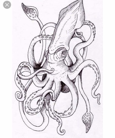 Kraken Drawing, Squid Drawing, Kraken Tattoo, Squid Tattoo, Octopus Tattoo Design, Petit Tattoo, Octopus Tattoos, Octopus Tattoo, Octopus Art