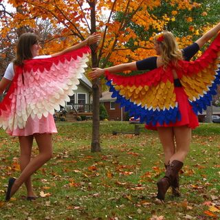 DIY: Owl Wings Costume  NattyJane's Birds of a Feather Costume Tutorial Birds Costume, Bird Wings Costume, Feather Costume, Parrot Costume, Flamingo Costume, Costume Carnaval, Owl Wings, Owl Costume, Bird Costume