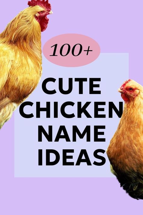 ideas for chicken names Chicken Names Hens, Hen Names, Cute Chicken Names, Rooster Names, Hen And Rooster, Cute Chickens, Name List, Name Ideas, Sustainable Garden