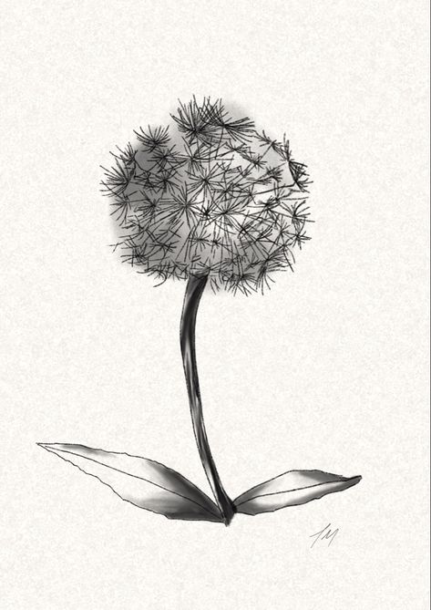 Tattoo sketch Dandelion Sketch, Dandelion Tattoo, Tattoo Sketch, Tattoo Sketches, Tattoos For Guys, Tatting, Dandelion, Tattoo Ideas, Sketch