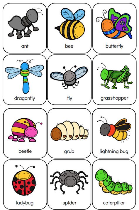 Bug Preschool Theme | Free Printable memory game #kids #kidsactivities #insects #worksheetsforkids #teaching #homeschool #preschool Bug Preschool, Bug Activities, Insects Preschool, Bugs Preschool, Insect Activities, Insect Crafts, Insects Theme, Classroom Games, Preschool Themes