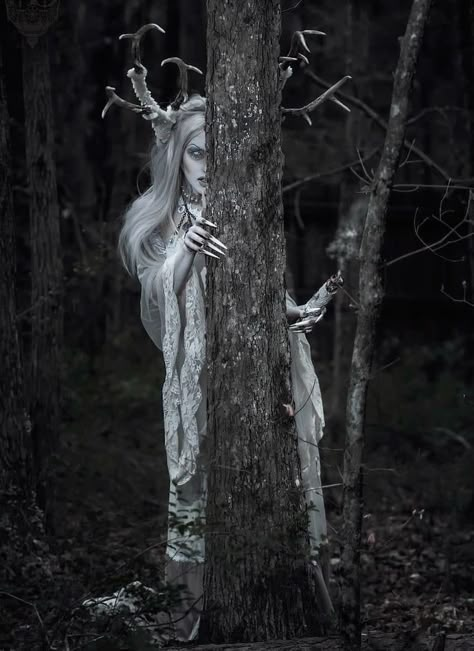 Nature Witch Photoshoot, Creepy Christmas Photoshoot, Forest Faerie, Halloween Photoshoot Ideas, Witch Photoshoot, Gothic Cosplay, Witch Photos, Fairy Photoshoot, Creative Shoots