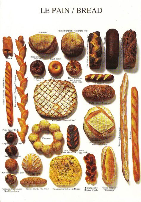 Le pain/ Bread Dessert Illustrations, Masonry Heater, Artisan Bakery, Wood Oven, Bread Art, Pizza Ovens, Outdoor Pizza, Book Cafe, Types Of Bread