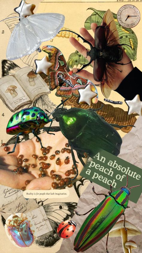 Bug board 🪲 #entomology #bug #insect #atlasmoth #green #academia Entomology Aesthetic Wallpaper, Insect Moodboard, Entomology Aesthetic, Insect Collage, Entomology Wallpaper, Pinned Bugs Aesthetic, 3d Art Sculpture, Atlas Moth, Bug Encyclopedia