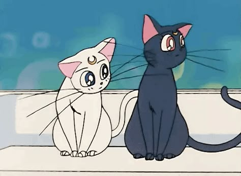 Sailor Moon Sailor Moon Tumblr, Moon Gif, Sailor Moon Gif, Sailor Moon Cat, Luna And Artemis, Sailor Moon Girls, Sailor Moon Luna, Sailor Moon Aesthetic, Sailor Moon Character