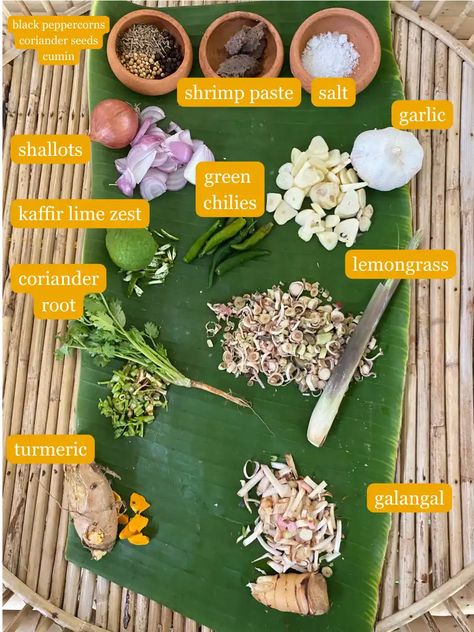 How to Make Green Curry Paste – Hungry in Thailand Green Curry Paste Recipe, Chef Day, Authentic Thai Green Curry, Thai Green Curry Recipe, Curry Paste Recipe, Clean Pantry, Green Curry Chicken, Thai Green Curry Paste, How To Make Green