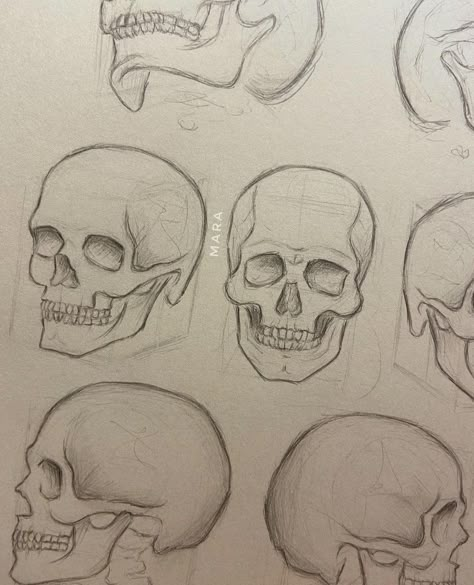 Simple Skeleton Drawing, Skeleton Head Drawing, Simple Skull Drawing, Skull Drawing Sketches, Easy Skull Drawings, Simple Face Drawing, Skull Anatomy, Skull Sketch, Skeleton Drawings