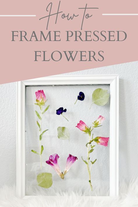 DIY Pressed Flower Art in a Picture Frame - My Uncommon Slice of Suburbia Feature Wall Ideas Wood, Diy Pressed Flower Art, Pressed Flower Art Picture Frames, Creative Wall Decor Ideas, Pressed Flowers Frame, Feature Wall Ideas, Wall Decor Large Wall, Window To The World, Dried Flowers Diy