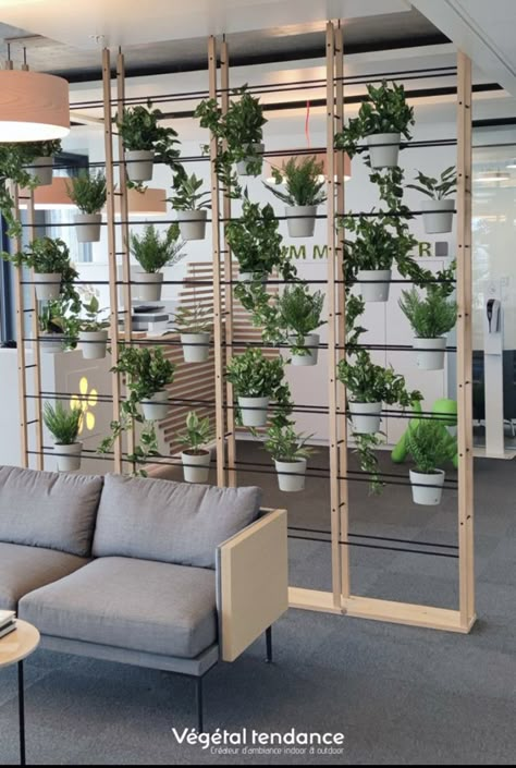 Company Office Decor Ideas, Room Divider Plants, Plant Room Divider, Plant Divider, Office Dividers, Store Shelves Design, Office Wall Design, Corporate Interior Design, Corporate Office Decor