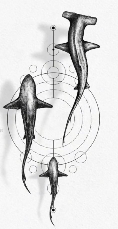 Shark Tattoo Design, Hai Tattoo, Underwater Tattoo, Lion Art Tattoo, Animal Tattoo Ideas, Shark Drawing, Sea Tattoo, Shark Tattoo, Ocean Tattoos