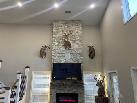 Elk Mount Above Tv, Tall Fireplace With Deer Mount, Deer Mount Wall Arrangement, Future House Bedroom, Tv Mantle, Stove Ideas, Tall Fireplace, House Bedroom Ideas, Deer Mounts